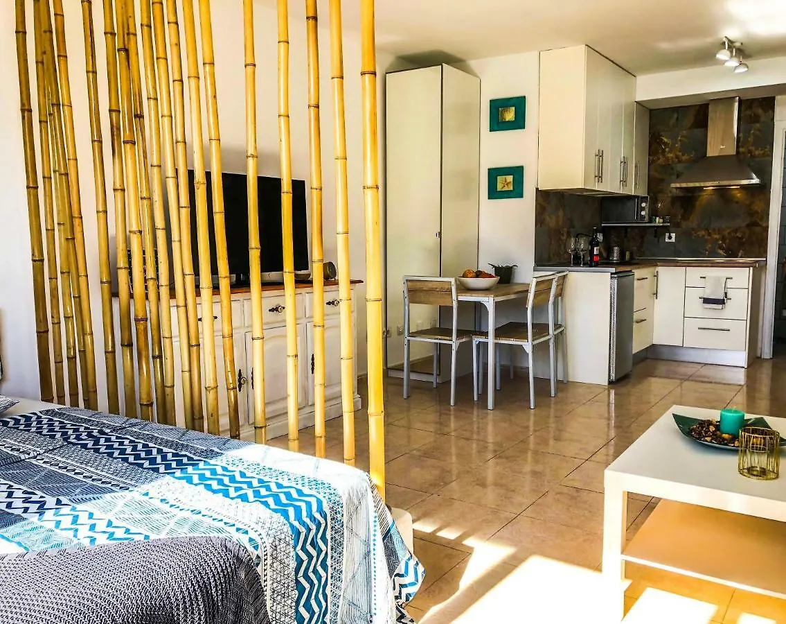 Aloe Studio Corralejo España